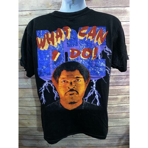 Vintage Inspired 1995 Ice Cube - What Can I Do! GEM INC -Large Size T-Shirt - - Picture 10 of 16